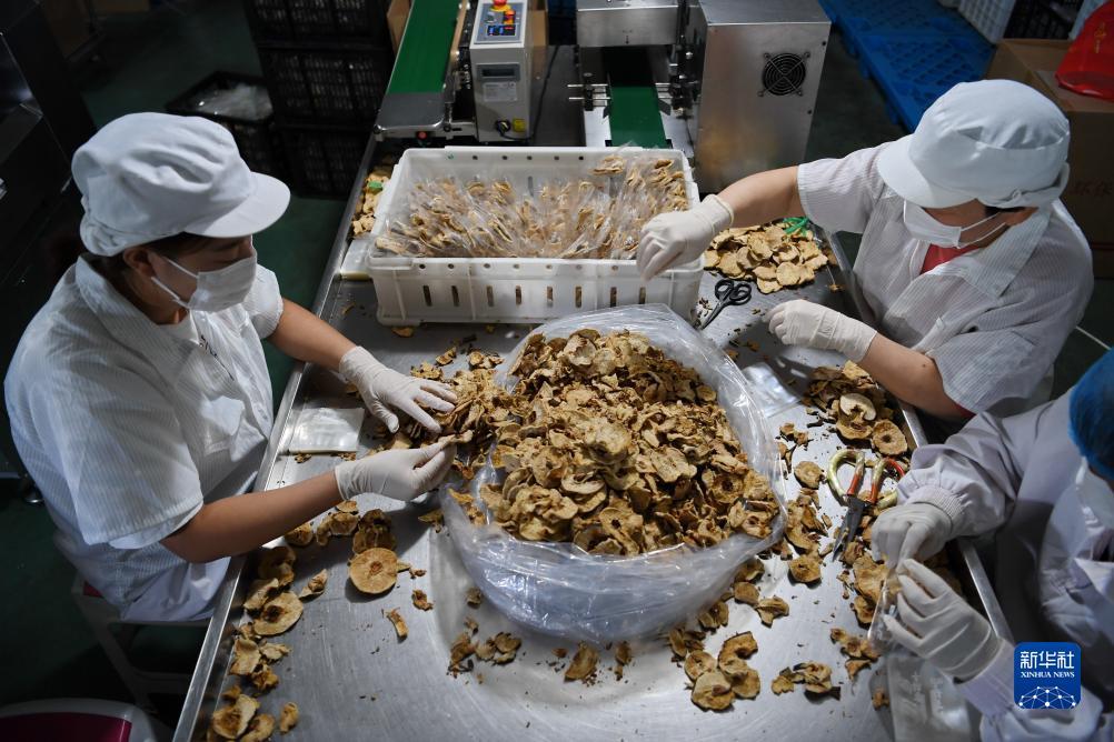博乐官方下载